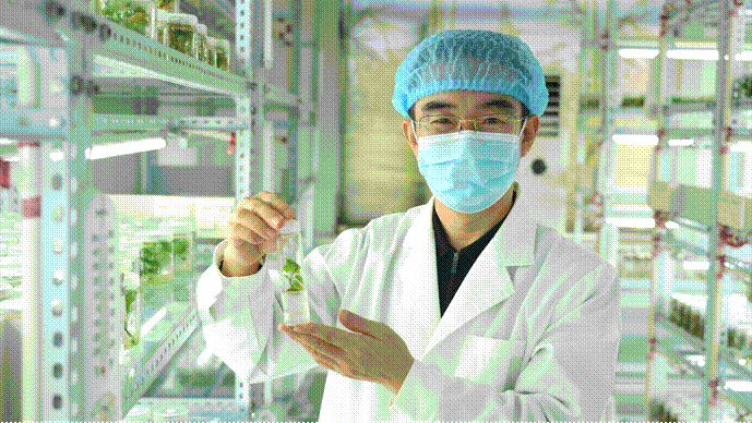 ��ҳ| ����ᡤjnh�й��ٷ���վ