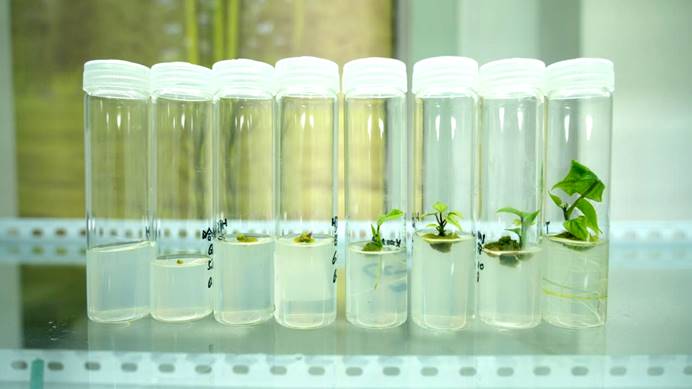 ��ҳ| ����ᡤjnh�й��ٷ���վ