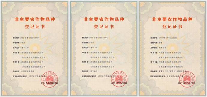 ��ҳ| ����ᡤjnh�й��ٷ���վ