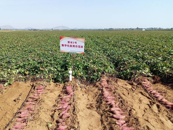 ��ҳ| ����ᡤjnh�й��ٷ���վ