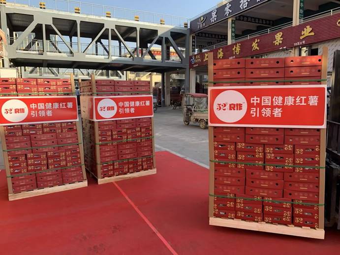 ��ҳ| ����ᡤjnh�й��ٷ���վ