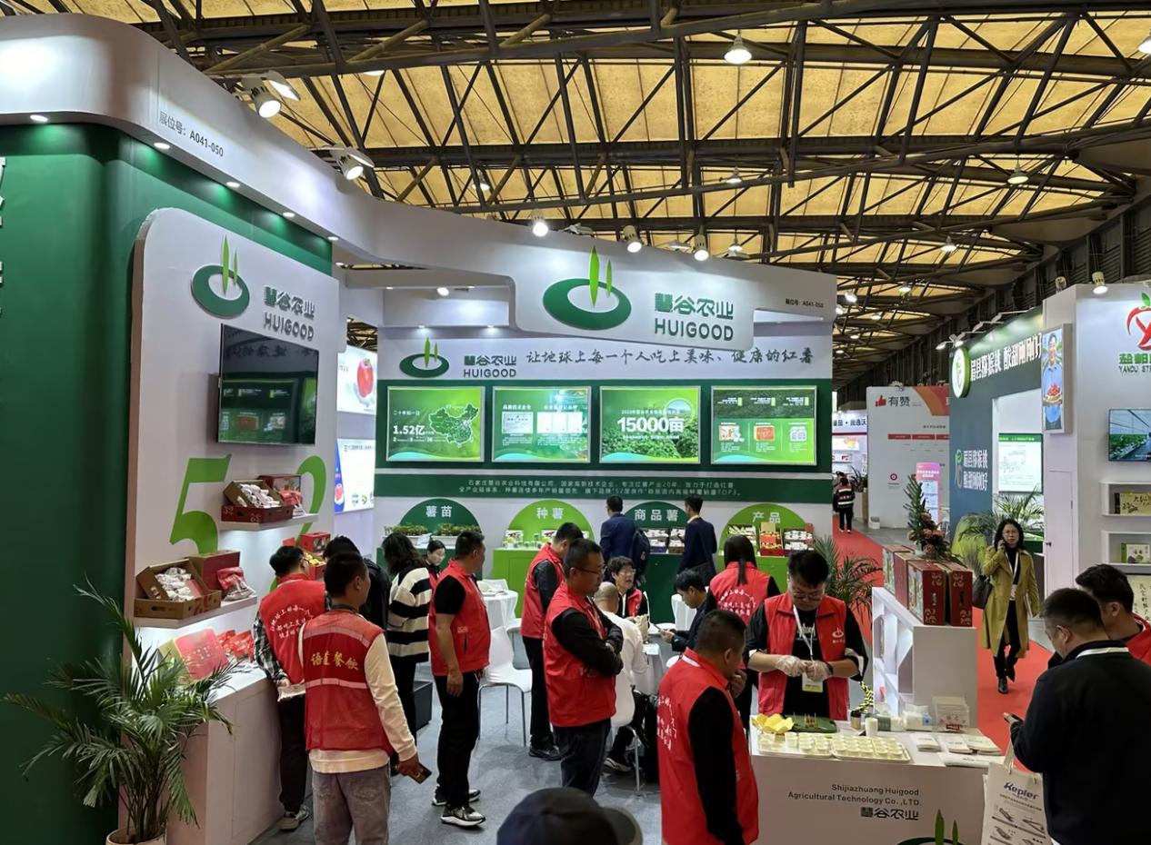 ��ҳ| ����ᡤjnh�й��ٷ���վ