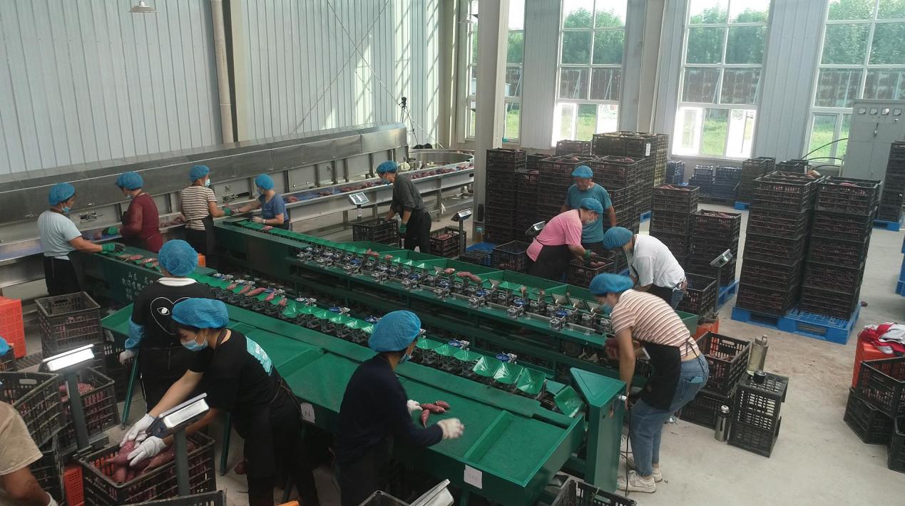 ��ҳ| ����ᡤjnh�й��ٷ���վ