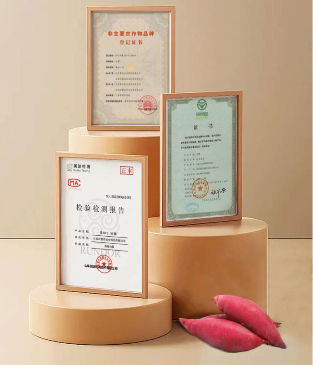 ��ҳ| ����ᡤjnh�й��ٷ���վ