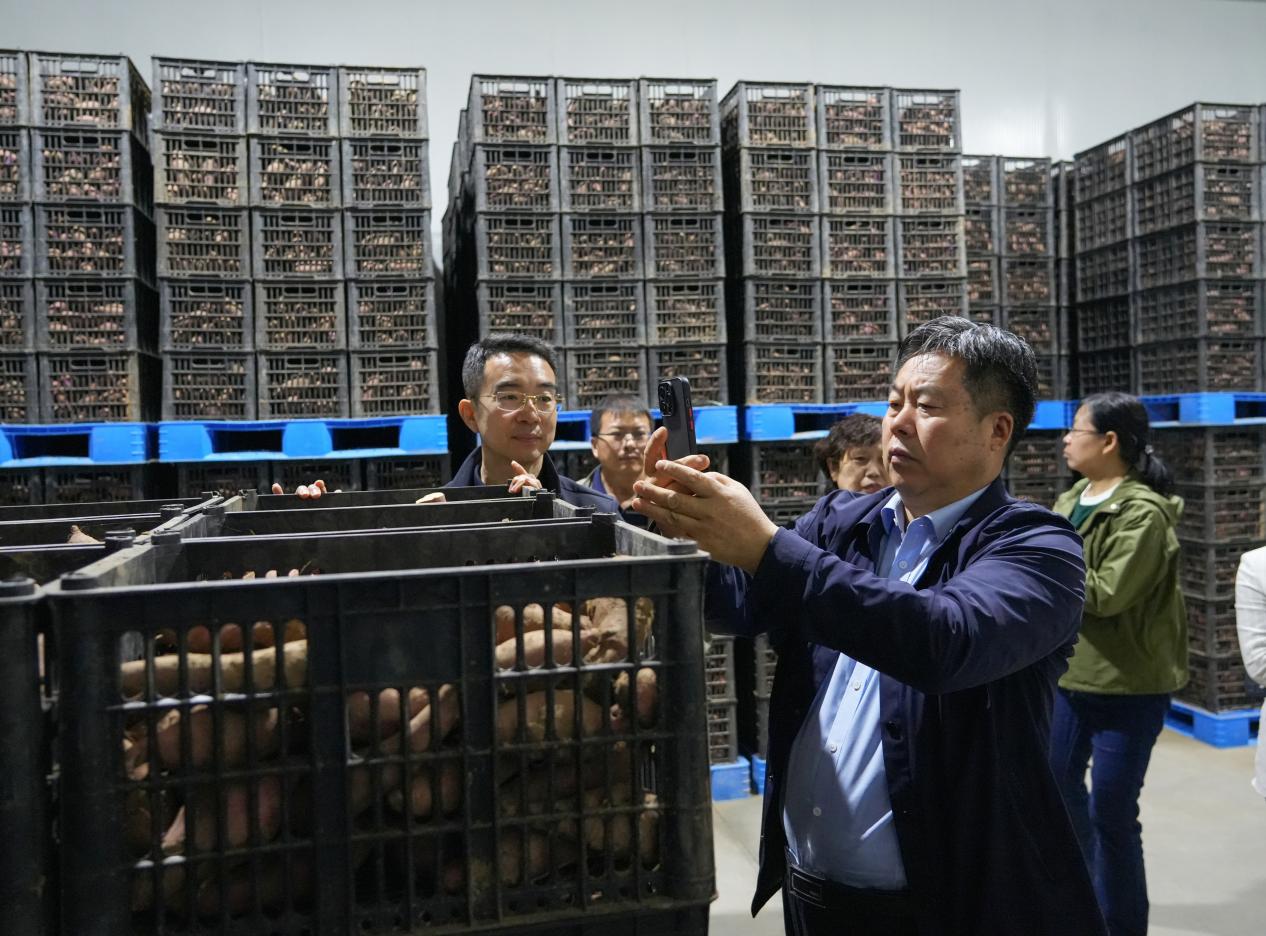 ��ҳ| ����ᡤjnh�й��ٷ���վ