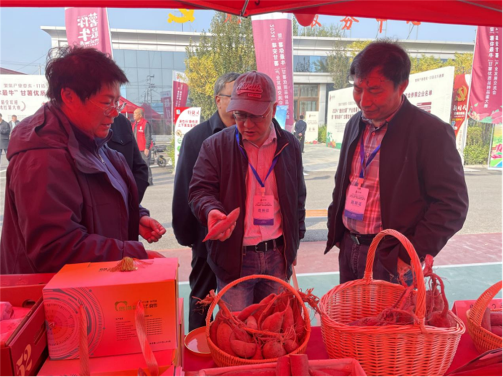 ��ҳ| ����ᡤjnh�й��ٷ���վ