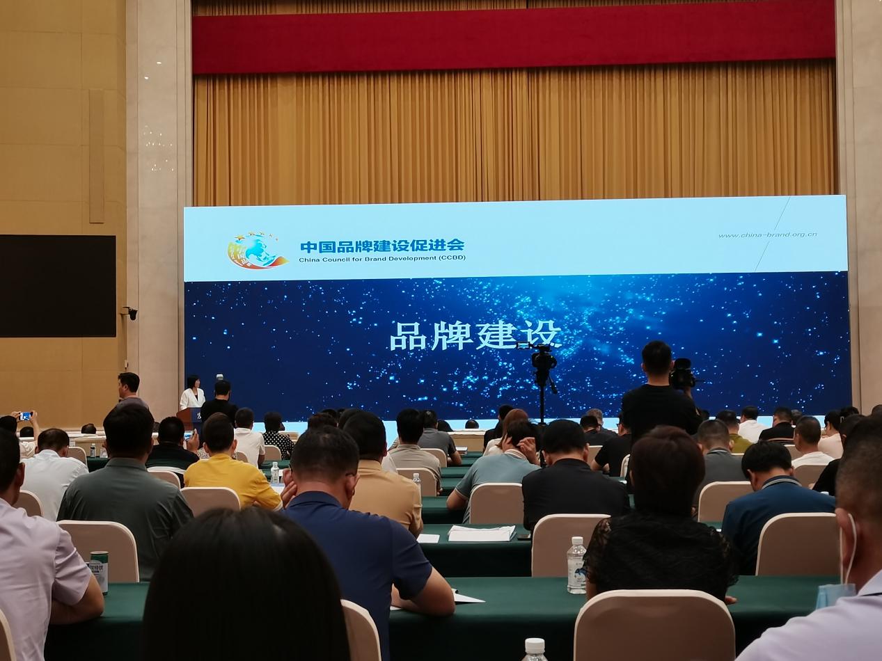 ��ҳ| ����ᡤjnh�й��ٷ���վ