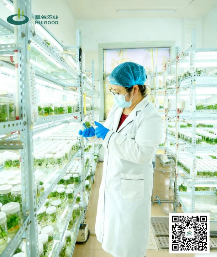 ��ҳ| ����ᡤjnh�й��ٷ���վ