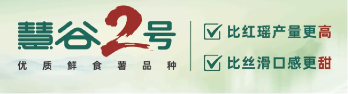 ��ҳ| ����ᡤjnh�й��ٷ���վ