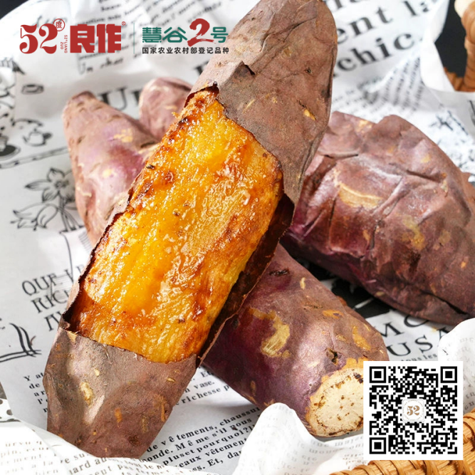 ��ҳ| ����ᡤjnh�й��ٷ���վ