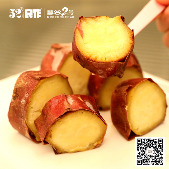 ��ҳ| ����ᡤjnh�й��ٷ���վ