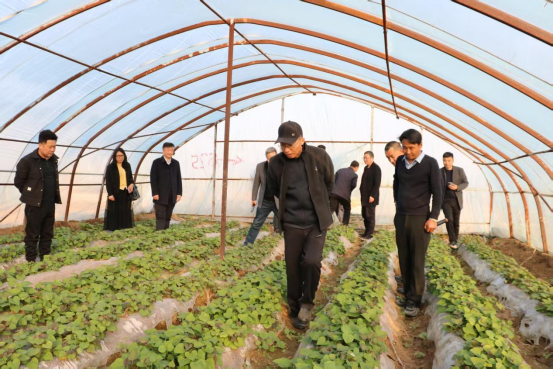 ��ҳ| ����ᡤjnh�й��ٷ���վ