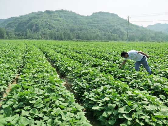 ��ҳ| ����ᡤjnh�й��ٷ���վ