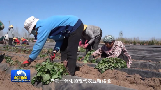 ��ҳ| ����ᡤjnh�й��ٷ���վ