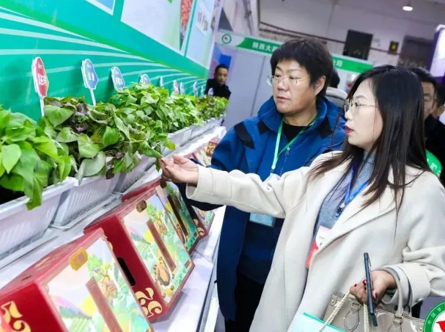 ��ҳ| ����ᡤjnh�й��ٷ���վ