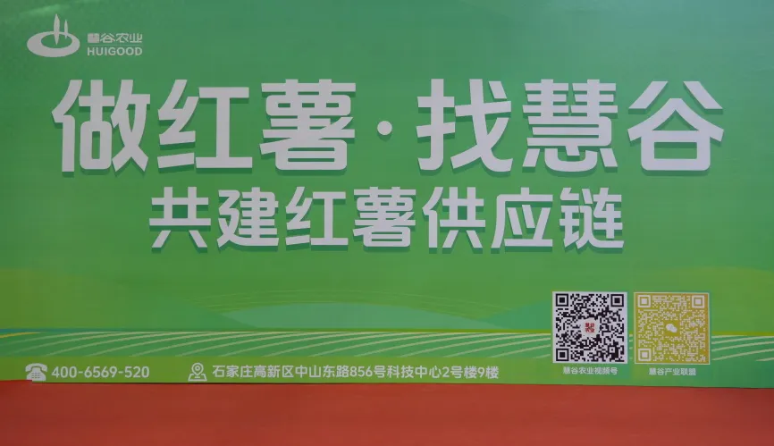 ��ҳ| ����ᡤjnh�й��ٷ���վ