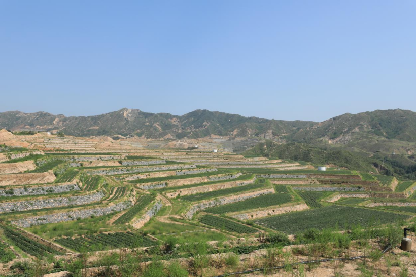 ��ҳ| ����ᡤjnh�й��ٷ���վ