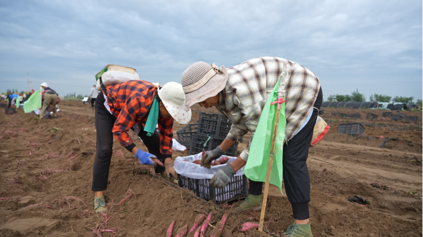 ��ҳ| ����ᡤjnh�й��ٷ���վ