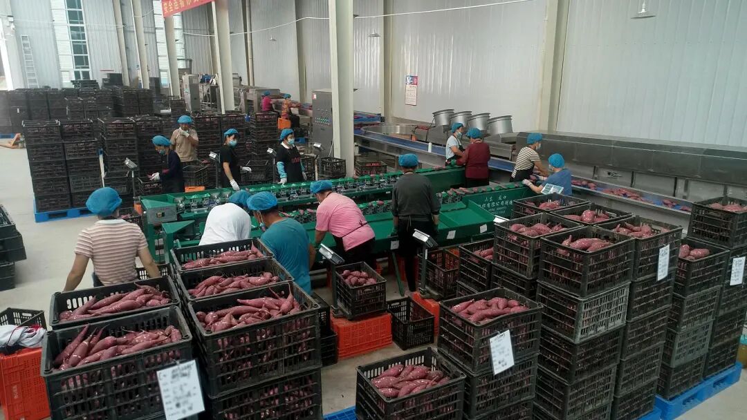 ��ҳ| ����ᡤjnh�й��ٷ���վ