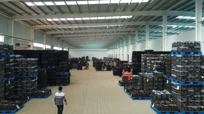 ��ҳ| ����ᡤjnh�й��ٷ���վ