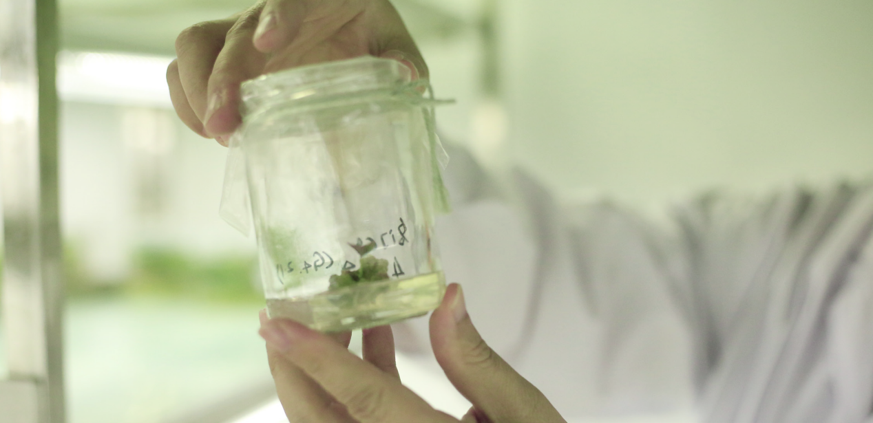 ��ҳ| ����ᡤjnh�й��ٷ���վ