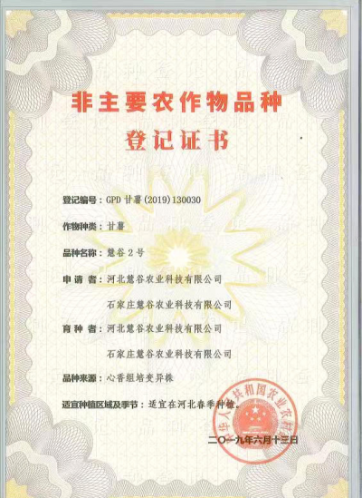 ��ҳ| ����ᡤjnh�й��ٷ���վ