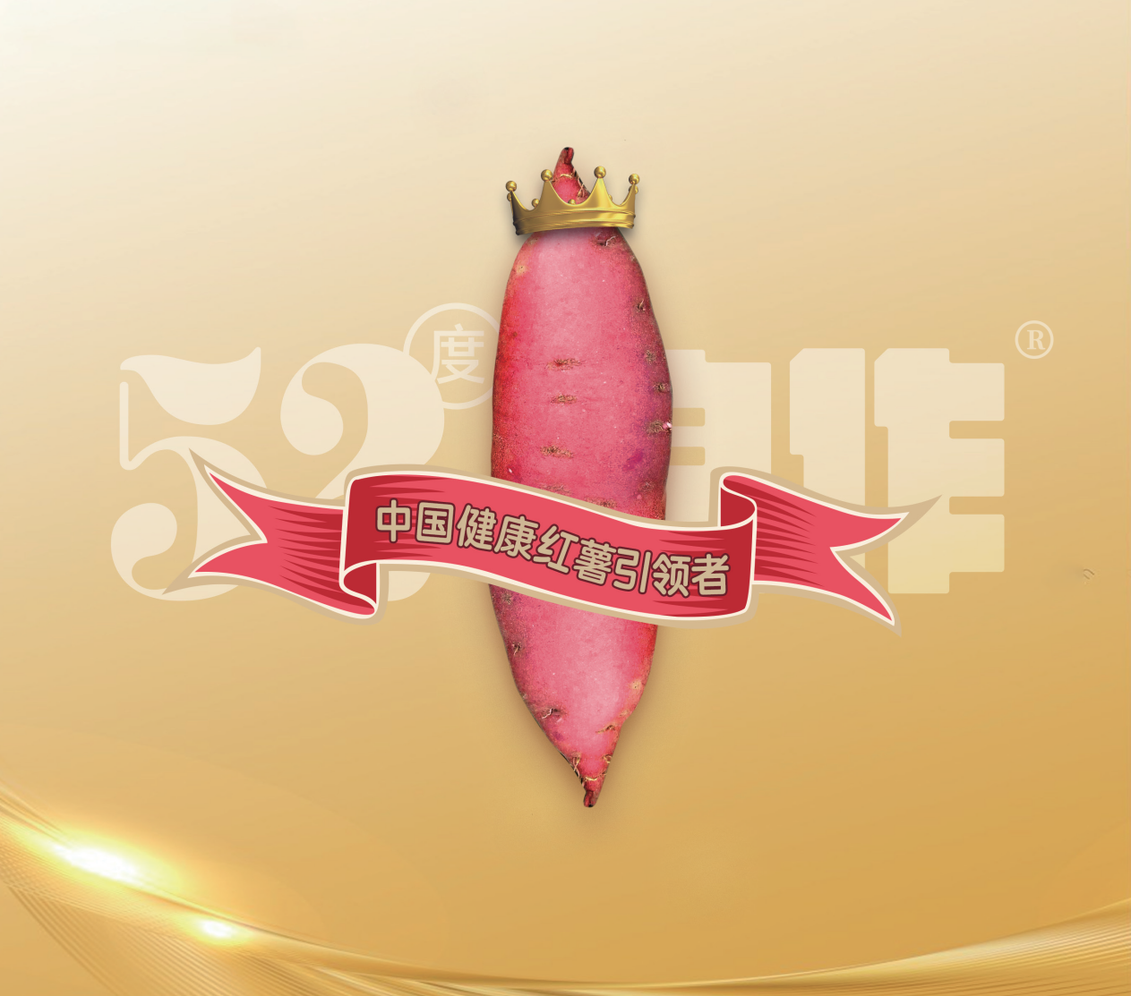 ��ҳ| ����ᡤjnh�й��ٷ���վ