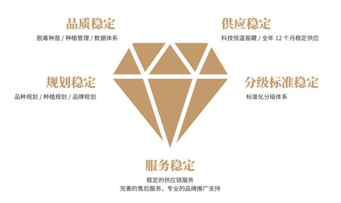 ��ҳ| ����ᡤjnh�й��ٷ���վ